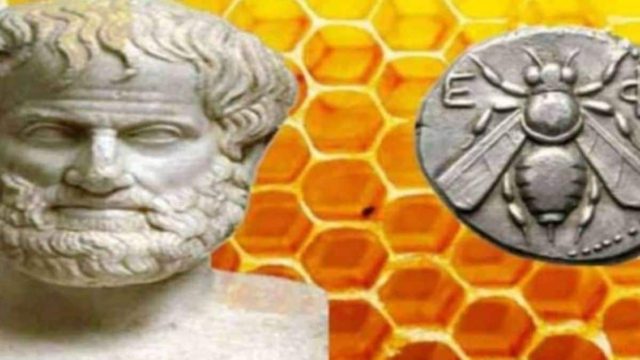 Μέλι: 5 θαυματουργές ιδιότητες που γνώριζαν οι αρχαίοι Έλληνες – Η 3η είναι απαραίτητη για κάθε έγκυο γυναίκα