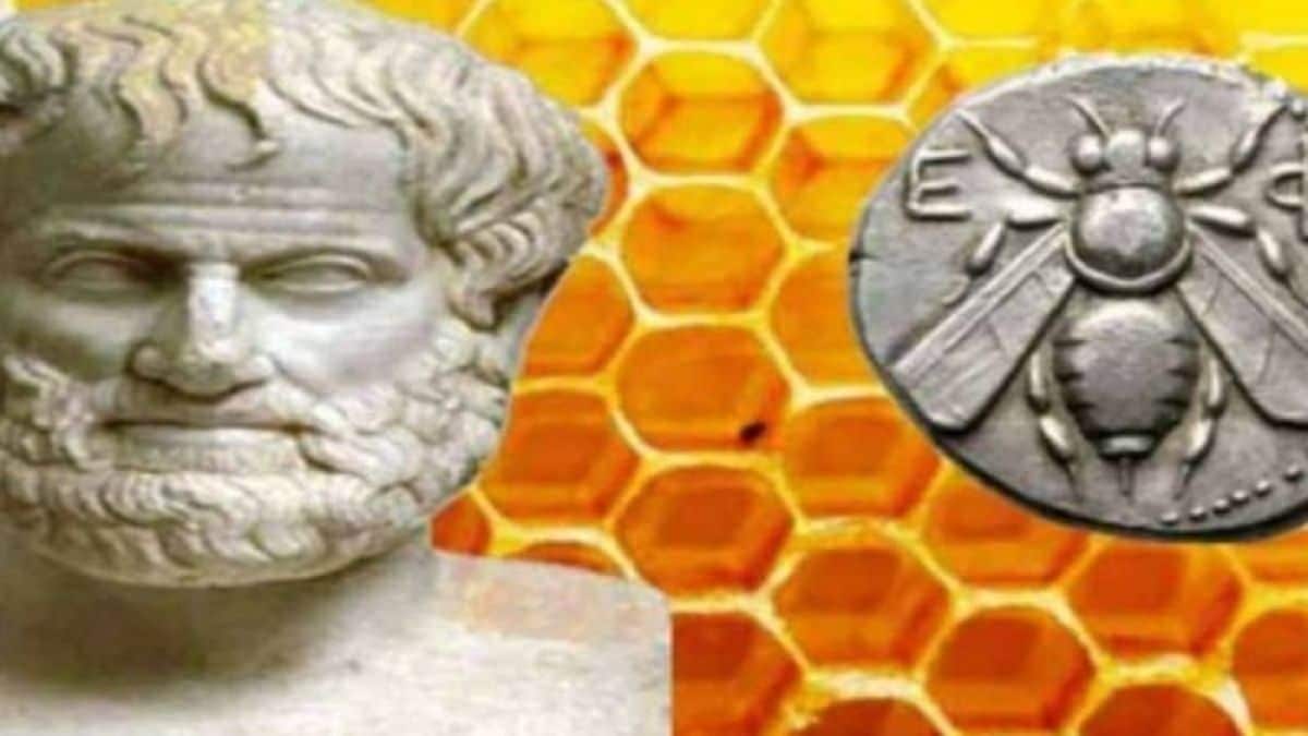 Μέλι: 5 θαυματουργές ιδιότητες που γνώριζαν οι αρχαίοι Έλληνες – Η 3η είναι απαραίτητη για κάθε έγκυο γυναίκα