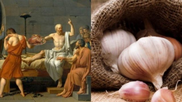 Σκόρδο και αρχαίοι Έλληνες: Δεν μπορείτε να φανταστείτε που το χρησιμοποιούσαν!