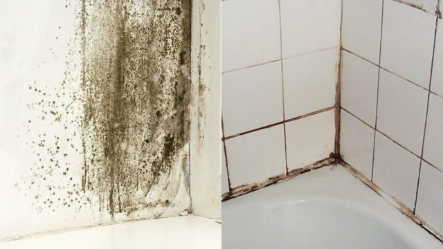 Μπάνιο χωρίς παράθυρο: Το πανέξυπνο κόλπο για να ανανεώσετε την ατμόσφαιρα και να εξαλείψετε την υγρασία