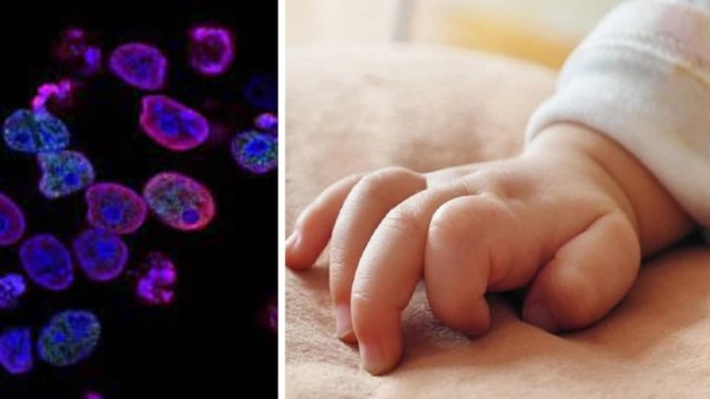 Θαύμα ζωής στη Θεσσαλονίκη: 36χρονη “κέρδισε” τον καρκίνο στα γεννητικά όργανα και απέκτησε δίδυμα με τη βοήθεια φίλης της που έγινε παρένθετη! (ΣΠΑΡΑΚΤΙΚΗ ΦΩΤΟΓΡΑΦΙΑ)