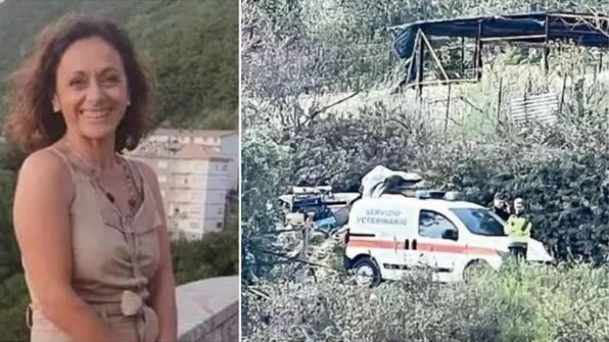Ροτβάιλερ κατασπάραξε 53χρονη που πήγε να του δώσει φαγητό – Γείτονες που άκουσαν τις κραυγές αγωνίας της (video)