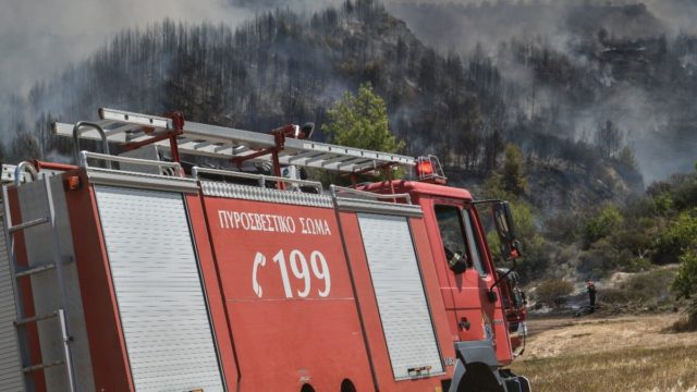 Θεσσαλονίκη: Φωτιά σε δασική έκταση στη Χαλκιδική
