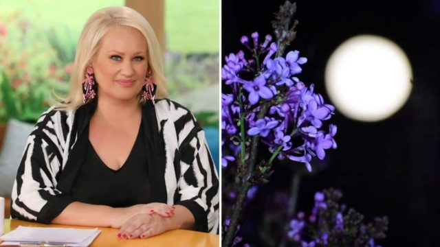 «Καύσωνας» δυσάρεστων αισθημάτων για Κριούς, Καρκίνους κι άλλα 2 ζώδια: Βόμβα με την Ηλιακή Έκλειψη από την Άση Μπήλιου!
