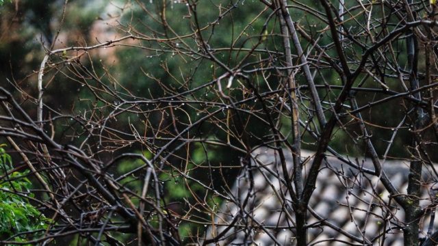 Όλα… ανάστα από τα Μερομήνια: «Δε θα ησυχάσουμε γρήγορα, μετά την Πρωτομαγιά ο καιρός θα συνεχίσει να…»