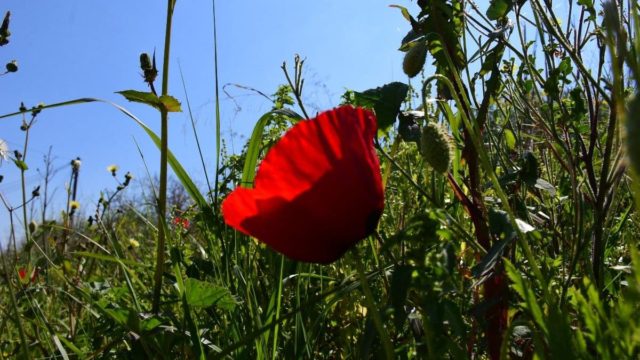 Καιρός σήμερα 2/4: Χειμώνας… ξανά από Κυριακή – Βροχές και πτώση της θερμοκρασίας