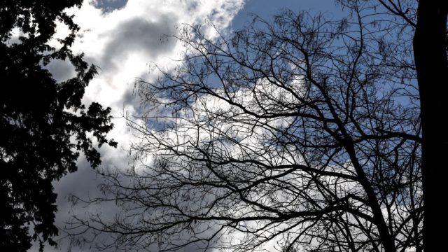 «Καροτσάκι» μέχρι το Πάσχα από τα Μερομήνια: «Από την τρίτη εβδομάδα του Απριλίου…»