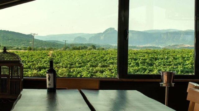 Meteoro Winery-Distillery: Βραβευμένα κρασιά από την ιερή σκιά των Μετεώρων στο ποτήρι μας!
