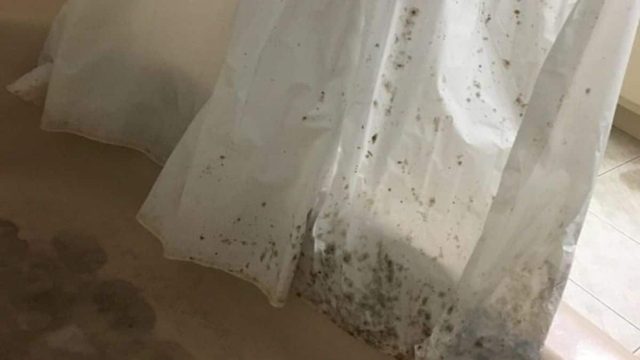 Μούχλα στις κουρτίνες μπάνιου; Έτσι θα απαλλαγείτε!