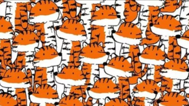 Viral οπτική ψευδαίσθηση: Το 99% αποτυγχάνει! Μπορείς να εντοπίσεις τις 4 γάτες μέσα σε 7 δευτερόλεπτα;
