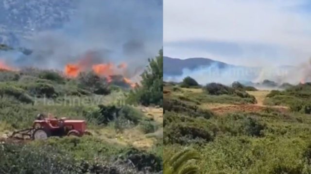 Μεγάλη φωτιά στα Μάλια: Ισχυροί άνεμοι δυσκολεύουν τους πυροσβέστες