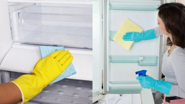 Μούχλα στο ψυγείο: Το δραστικό κόλπο για να την εξαφανίσετε από το λάστιχο και άλλα επικίνδυνα σημεία