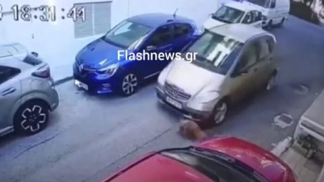 Κρήτη: Συνελήφθη η 63χρονη οδηγός που πάτησε τον σκύλο – Πρόστιμο 40.000 ευρώ