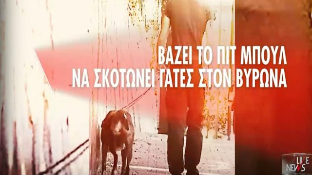 Φρίκη στο Βύρωνα: Άνδρας βάζει πίτμπουλ να ξεκοιλιάζει γάτες και τις πετάει στα σκουπίδια – Σοκαριστικές περιγραφές (Video)