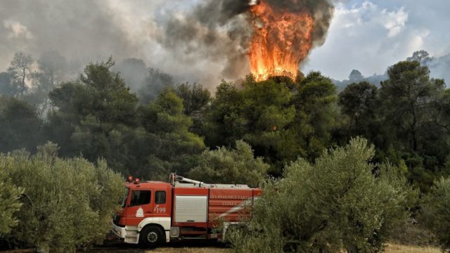 Ωρωπός: Φωτιά στο δάσος της Μαυροσουβάλας