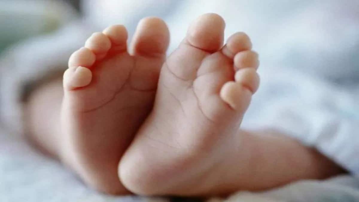 Τραγωδία στην Άρτα: Εδώ βρήκε μαρτυρικό θάνατο το 5,5 μηνών βρέφος – Φωτογραφία του αυτοκινήτου που ξεψύχησε το “αγγελούδι” (Video)