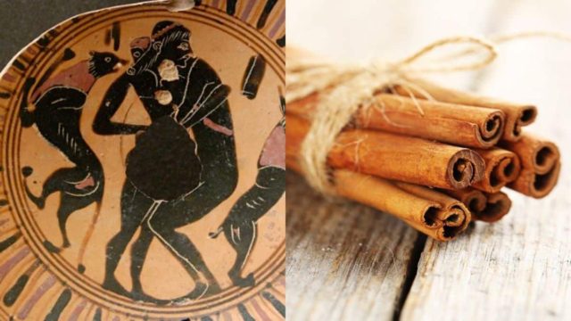 Έτσι διατηρούνταν στην πένα: Το μπαχαρικό που χρησιμοποιούσαν οι Αρχαίοι Έλληνες για αδυνάτισμα και μακροζωία