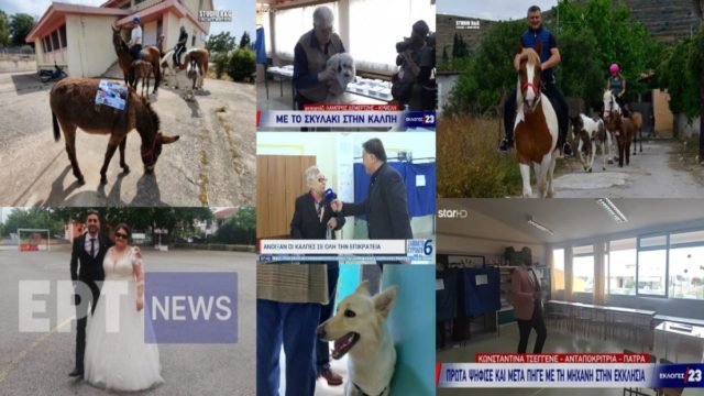 Εκλογές 2023: Τα ευτράπελα, απρόοπτα και παράξενα της κάλπης! Η νύφη, οι γαμπροί, τα σκυλάκια και τα γαϊδουράκια, το exit poll του φούρναρη και οι τούρτες που έκλεψαν την παράσταση (Video)