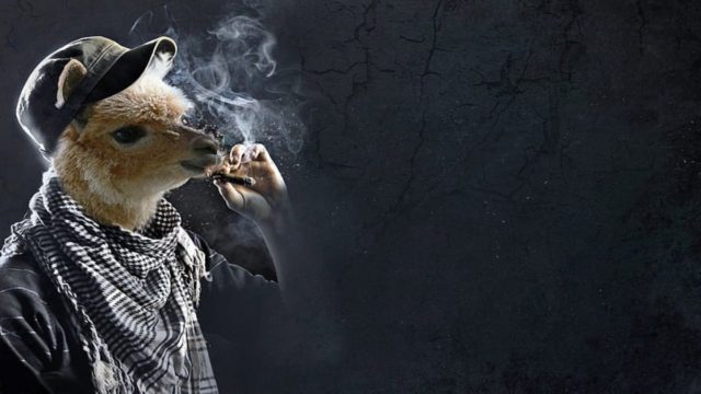 Από τη μια είναι καλό να καπνίζεις, από την άλλη όχι… Το καμένο ανέκδοτο της ημέρας (3/5)