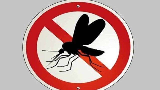 Ξεχάστε τα τσιμπήματα από τα κουνούπια: Μην τρώτε αυτές τις 3 τροφές και δε θα σας αγγίζουν καν!