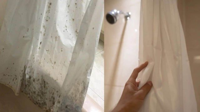 Μούχλα στην κουρτίνα μπάνιου: Μαγειρική σόδα, ξύδι και 3 ακόμα δραστικά κόλπα για να την εξαφανίσετε με μιας