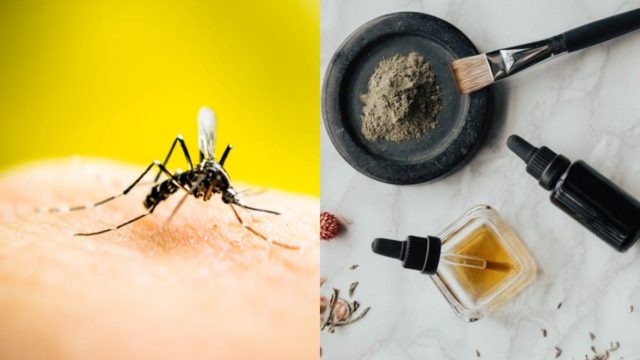 Ψεκάστε, σκουπίστε, τελειώσατε: 7+1 τρόποι για να εξαφανίσεις τα κουνούπια από το σπίτι σου