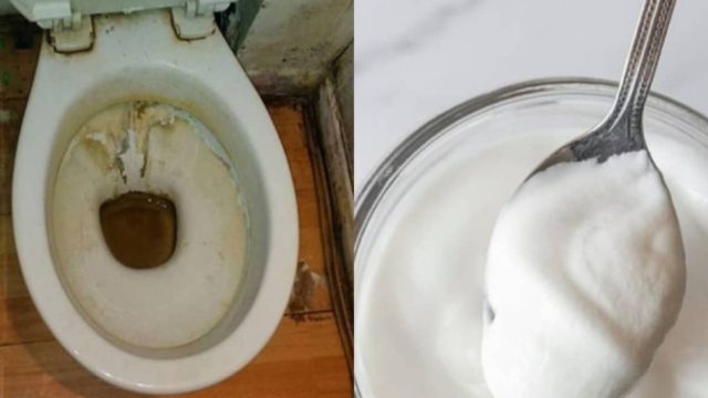 Ρίξτε ένα κεσεδάκι γιαούρτι στη λεκάνη, κλείστε το καπάκι και… voilà  – Το αποτέλεσμα θα σας σοκάρει!