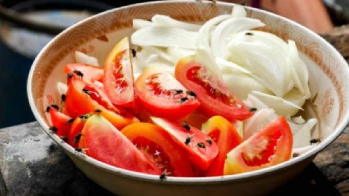 Το τελευταίο «αντίο» στις μύγες: Το κόλπο με το μέλι για να τις ξεφορτωθείτε μια και καλή