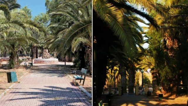 45 λεπτά από το κέντρο της Αθήνας: Ένας παράδεισος εξωτικός λίγο έξω από την Αθήνα για το τριήμερο Αγίου Πνεύματος