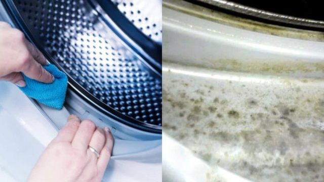 Το θαυματουργό κόλπο για να εξαφανίσετε τη μούχλα από το πλυντήριο ρούχων