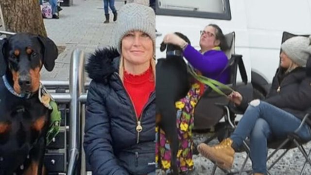 «Φύλακας άγγελος»: Ο σκύλος μύρισε τον τέλειο δότη νεφρού στην παραλία και της έσωσε τη ζωή!
