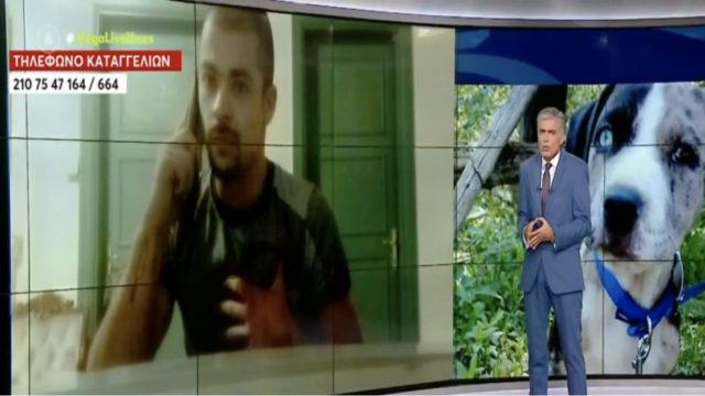 «Μια φορά σκότωσε! Τις άλλες τις βρήκε ψόφιες»: “Έσπασε” τη σιωπή του ο 27χρονος που καταγγέλλεται ότι βάζει τον σκύλο του να σκοτώνει γάτες (Video)