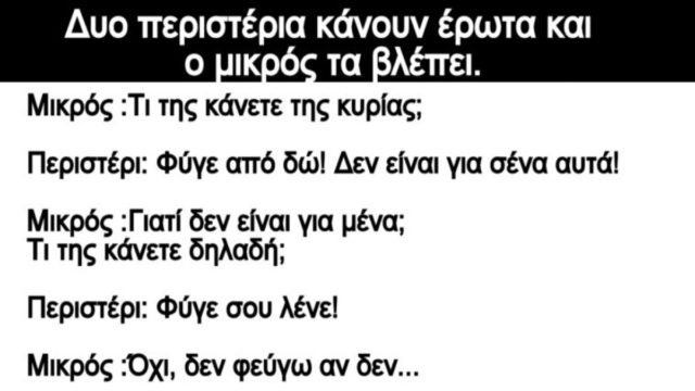 Δυο περιστέρια κάνουν έρωτα και ο Τοτός τα βλέπει… Το ανέκδοτο της ημέρας (3/6)
