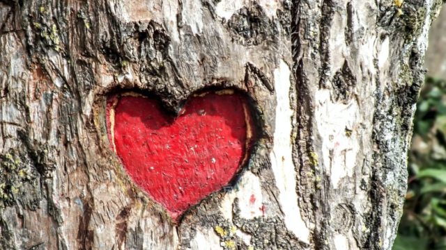Full in love για 5 ζώδια: Ο έρωτας γίνεται ο πρωταγωνιστής για 4 μήνες με την Αφροδίτη στο Λέοντα!