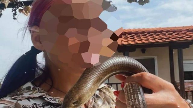 Θεσσαλονίκη: Βγήκε από τη ΜΕΘ η 39χρονη που την δάγκωσε οχιά – Αναπνέει πλέον χωρίς μηχανική υποστήριξη!