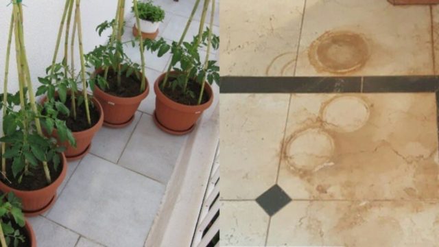 Εξαφάνιση στο πι και φι: Το κόλπο για να αφαιρέστε τους λεκέδες στο μάρμαρο από τις γλάστρες