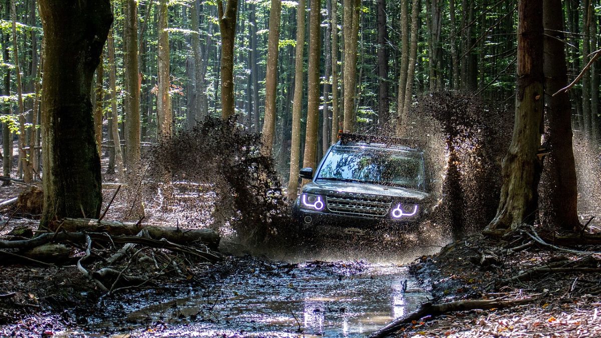 Πώς λέγεται το 4×4 που πηδάει από κλαδί σε κλαδί… Το καμένο ανέκδοτο της ημέρας (24/6)