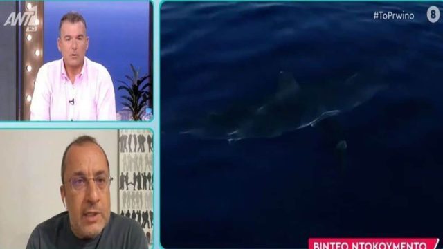 Μεγάλος καρχαρίας έκανε την εμφάνισή του στην Σέριφο! Έντρομοι βαρκάδες (video)