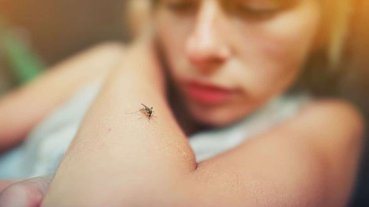 Γιατί τσιμπούν εσάς και όχι τον διπλανό σας; 6+1 βασικοί λόγοι που σας επιτίθενται τα κουνούπια