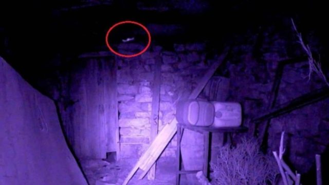 Έβαλε κρυφή κάμερα στο υπόγειο για να καταγράψει τον 37χρονο άνδρα της – Δε θα πιστέψετε γιατί το έκανε