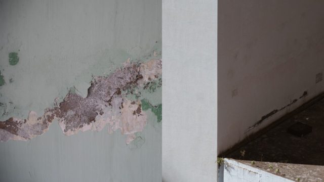 Μούχλα στους τοίχους: Tips για να την εξαφανίσετε στη στιγμή