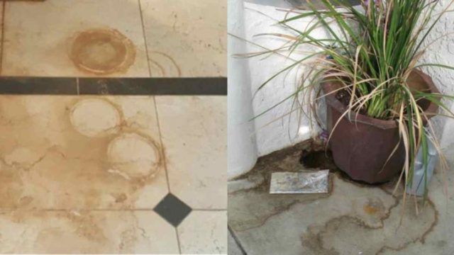 Σκουριά από γλάστρες στη βεράντα: Το κόλπο των ειδικών για πεντακάθαρο μπαλκόνι χωρίς λεκέδες