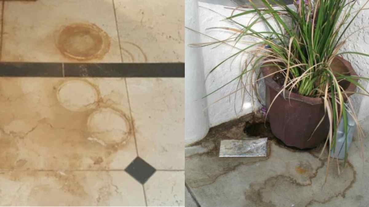 Σκουριά από γλάστρες στη βεράντα: Το κόλπο των ειδικών για πεντακάθαρο μπαλκόνι χωρίς λεκέδες