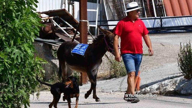 Εκλογές 2023: Πήγε να ψηφίσει με το… γαϊδουράκι του (video)