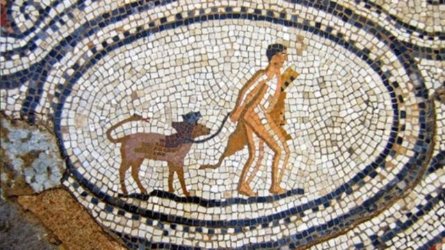 «Μεθέπων, Εγέρτης, Μαρπσάς…» – Τα «κουλά» ονόματα που έδιναν οι Αρχαίοι Έλληνες στα σκυλιά τους
