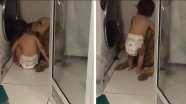 Μωρό μιλάει σε σκύλο που φοβόταν τις βροντές με την ελπίδα να το ηρεμήσει!