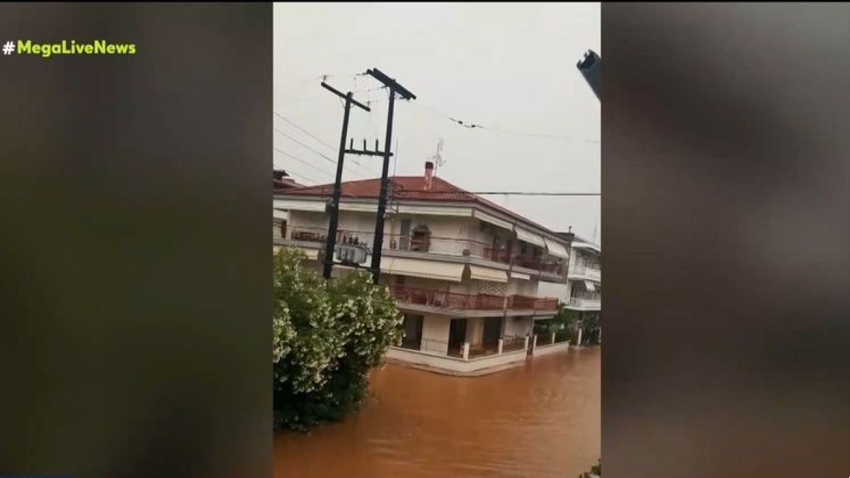 Τρομακτική μαρτυρία οδηγού που παρασύρθηκε από ορμητικό χείμαρρο στη Χαλκιδική: «Ήταν σα να βλέπω το θάνατό μου» – Συγκλονίζει το βίντεο ντοκουμέντο