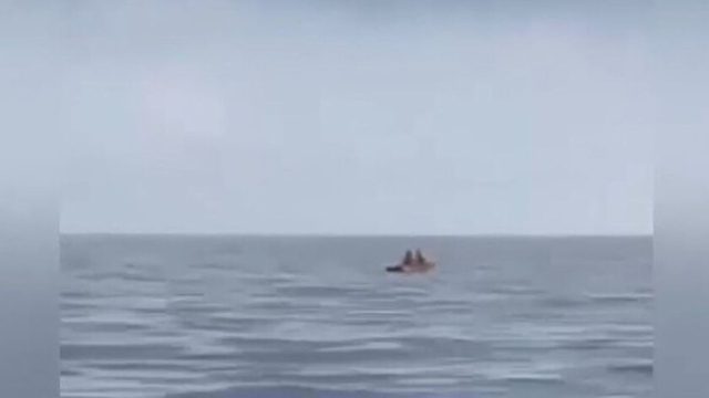 Απίστευτο! Έκλεψαν βάρκα και έκαναν story στο Instagram (Video)