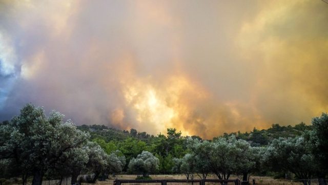 Ανεξέλεγκτη φωτιά στη Μεσσηνία – Επιχειρούν πυροσβεστικές δυνάμεις και εθελοντές