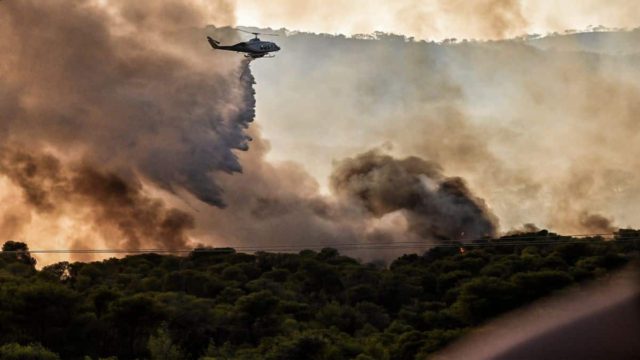 Φωτιά στην Μαγνησία: Νέο θρίλερ εξαφάνισης –  Αγνοείται 45χρονος βοσκός που πήγε να σώσει τα ζώα από τις φλόγες